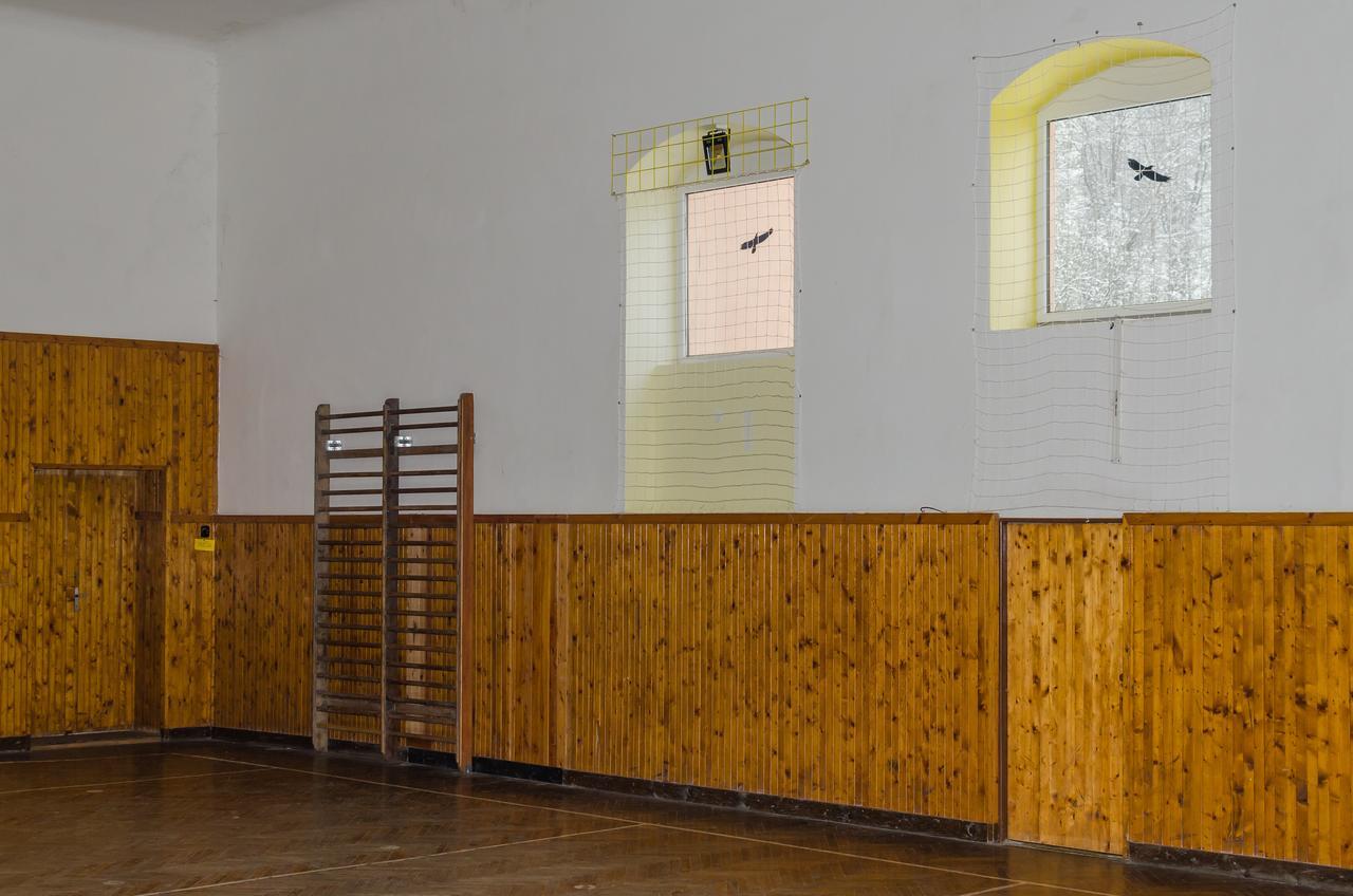 Penzion Sportino Svoboda nad Úpou المظهر الخارجي الصورة